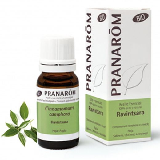 Pranarom Aceite Esencial Ravintsara Bio 10ml