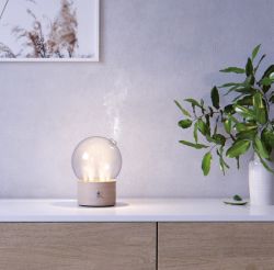 Pranarom Difusor Bulle en Seco Madera y Cristal