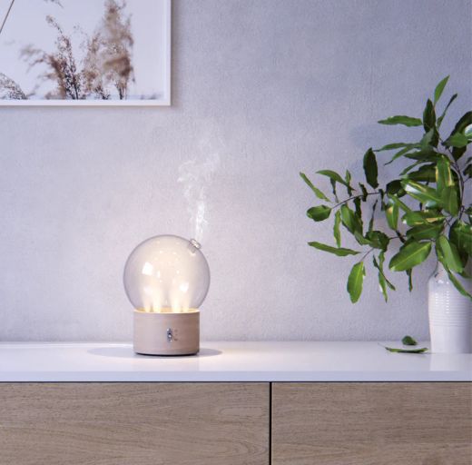 Pranarom Difusor Bulle en Seco Madera y Cristal