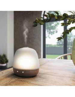 Pranarom Diffuseur de Cire Linio