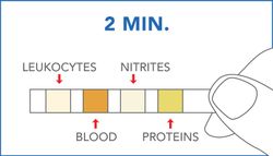 Prima Home Test Urinary Tract Infections Infecciones Urinarias 3 Test