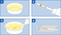 Prima Home Test Urinary Tract Infections Infecciones Urinarias 3 Test