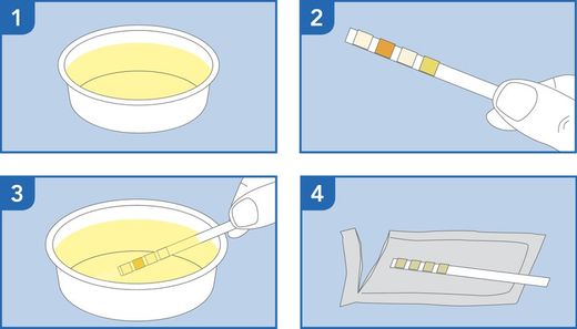 Prima Home Test Urinary Tract Infections Infecciones Urinarias 3 Test