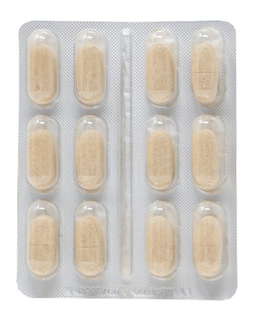 RenalGreen 48 comprimidos