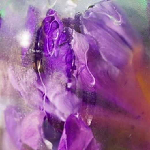 Roger & Gallet Feuille de Thé Wellness Scented Water