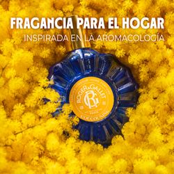 Roger & Gallet Coucouning Fragancia Para El Hogar 100 ml