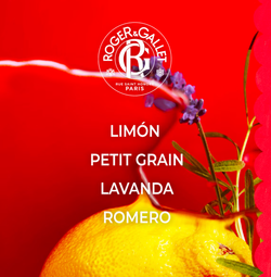 Roger & Gallet Jean-Marie Farina Desodorante Stick 50 g