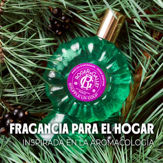 Roger & Gallet Souffle Un Coup Fragancia Para El Hogar 100 ml