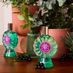 Roger & Gallet Souffle Un Coup Fragancia Para El Hogar 100 ml