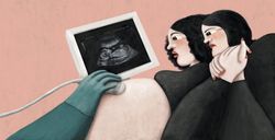 "Sin Latido" Marina No Nace Libro Ilustrado