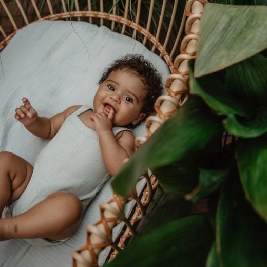 Suavinex Parches de Citronela Antimosquitos 36 Unidades