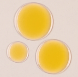 Two Poles Cleansing Oil Make Up Makeup Remover Facial Oil 190 ml