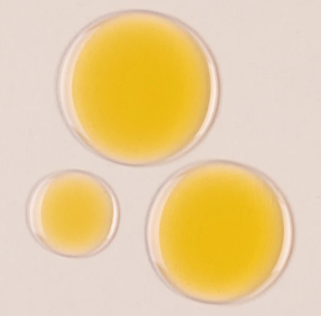 Two Poles Cleansing Oil Make Up Makeup Remover Facial Oil 190 ml