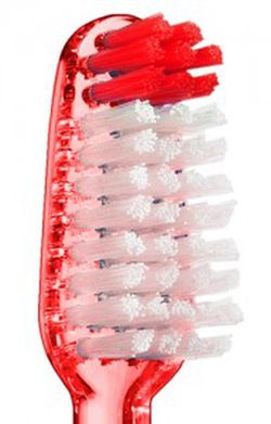 Escova de dentes adulto Vitis Hard