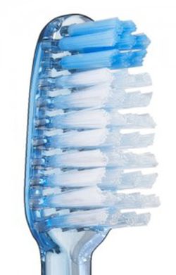 Escova de dentes adulta média Vitis