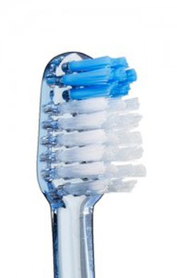 Vitis Medium Compact Adult Travel Brush