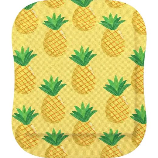 Pansements alimentaires en plastique imperméables Wild Stripes 20 unités