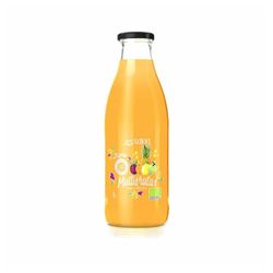 Zumo Multifrutas Ecosana Drasanvi Bio 1l