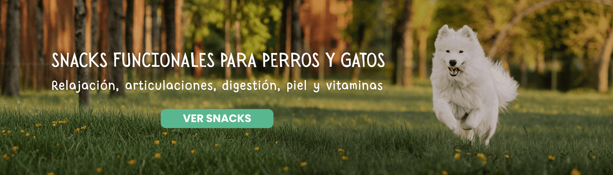 SNACKS FUNCIONALES PARA PERROS Y GATOS